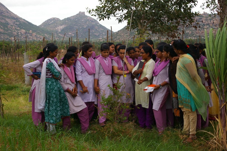 Agroforesterie biologique en zone aride: Atelier avec des écolières dans l’Andhra Pradesh, Inde. Agroforesterie biologique en zone aride: Atelier avec des écolières dans l’Andhra Pradesh, Inde.